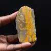 Piccolo calabrone Jasper dall'Indonesia - 1