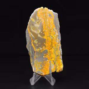 Piccolo calabrone Jasper dall'Indonesia