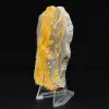 Jasper Bumblebee: targa da collezione - 2