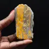 Jasper Bumblebee: targa da collezione - 1