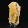 Esemplare di calabrone di diaspro lucidato - 2