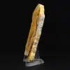 Esemplare di calabrone di diaspro lucidato - 3