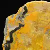 Esemplare di calabrone di diaspro lucidato - 7