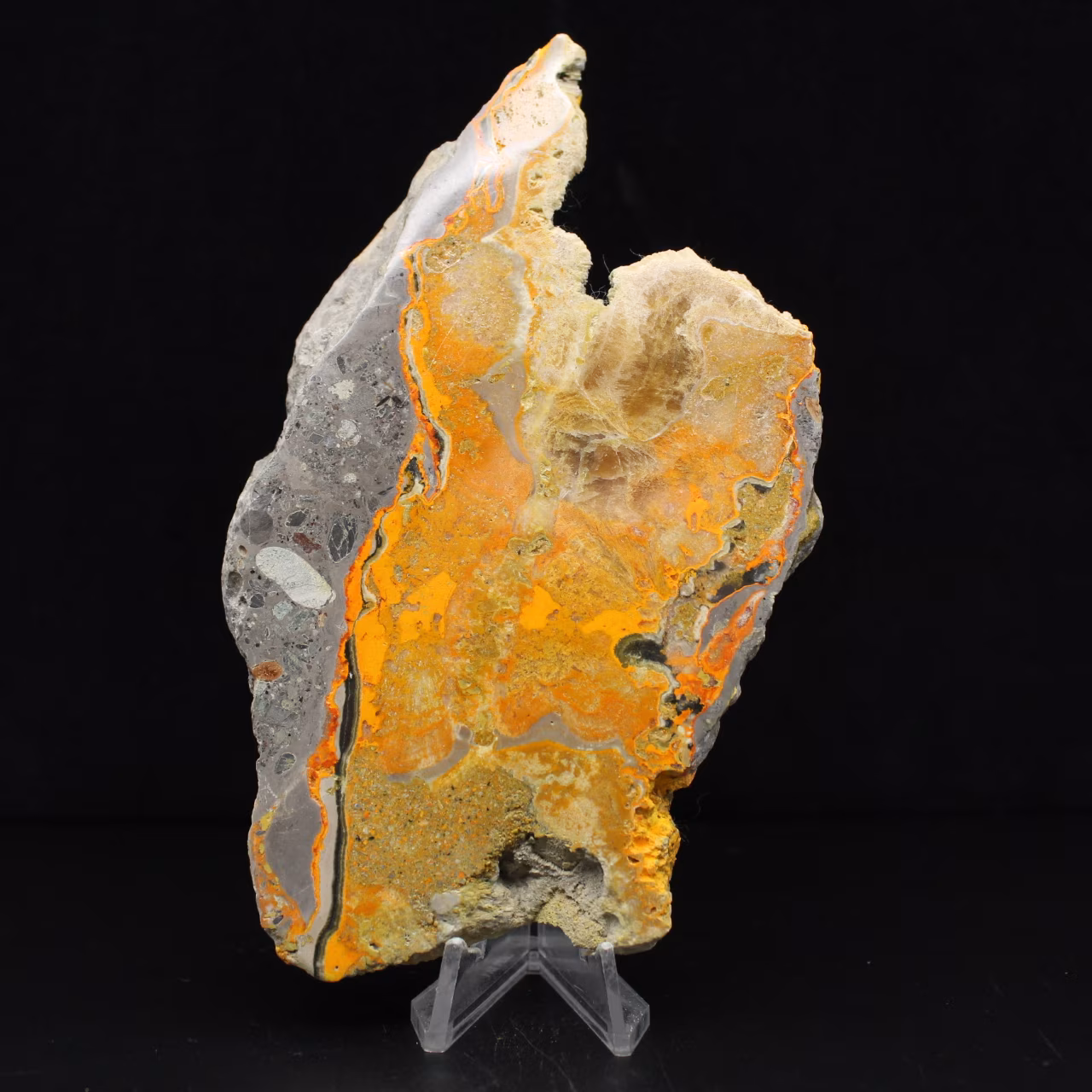 Grande fetta di Bumblebee Jasper