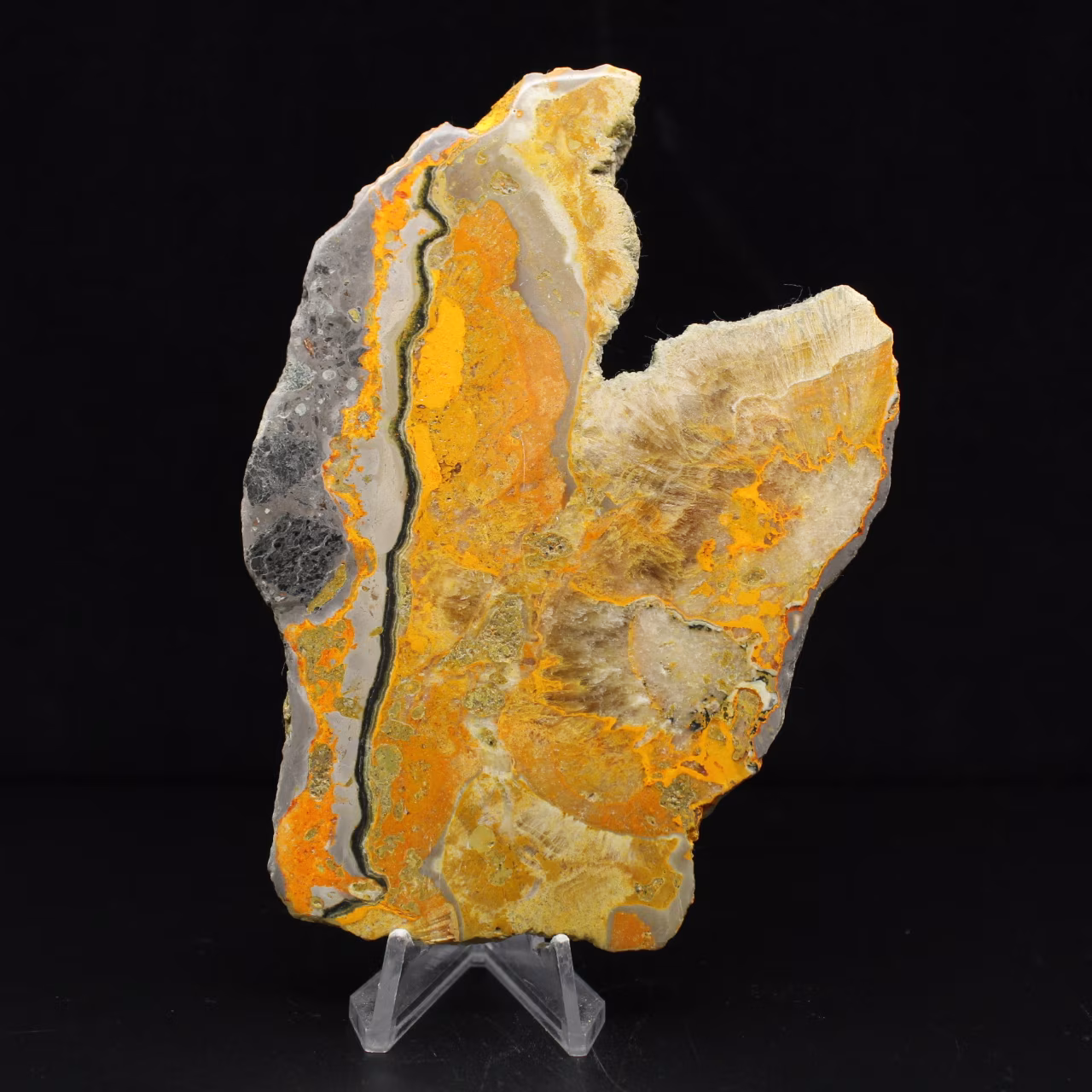 Bumblebee Jasper: placca vulcanica