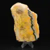 Targa da collezione Bumblebee Jasper - 0
