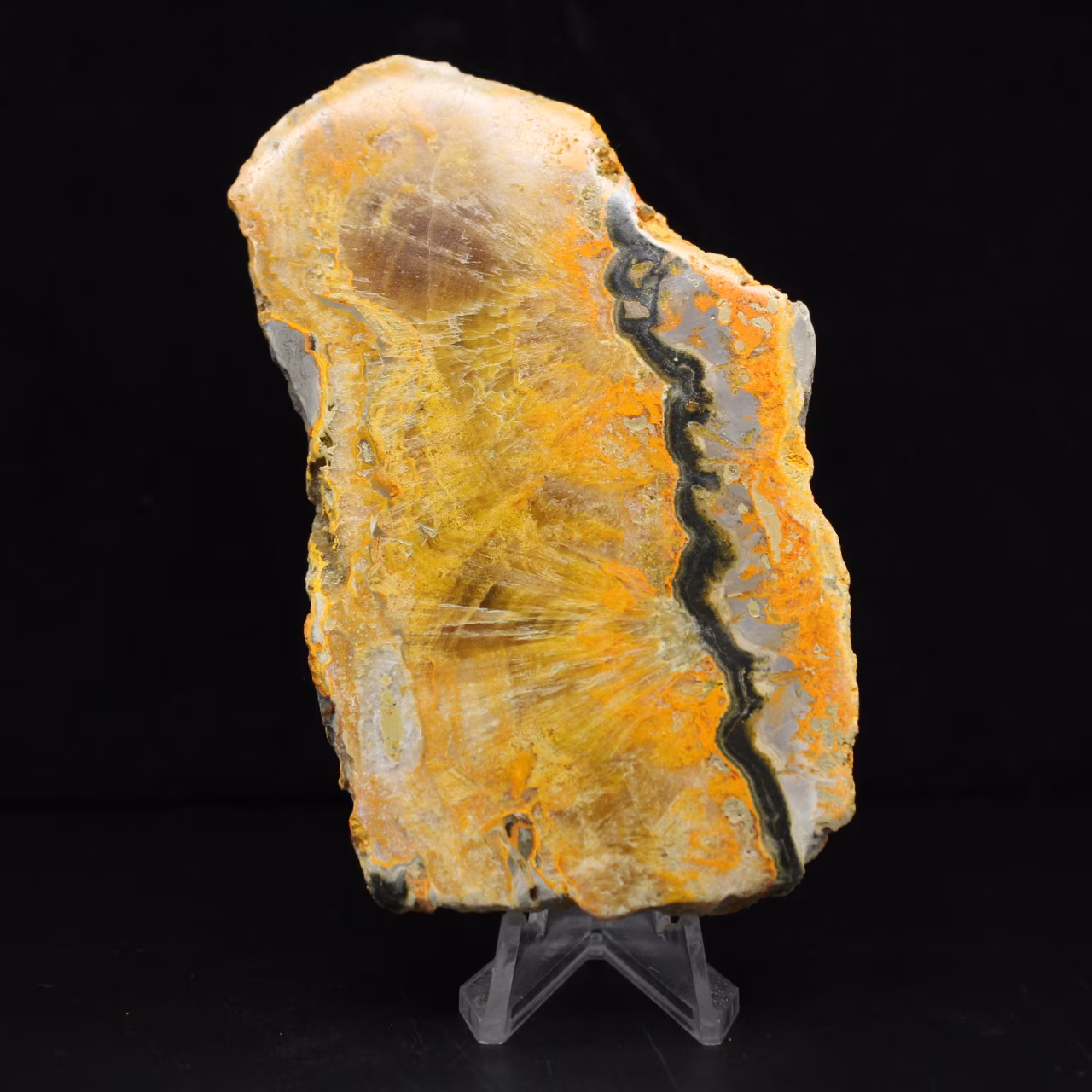Targa da collezione Bumblebee Jasper