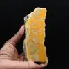 Fetta spessa di diaspro calabrone indonesiano - 1