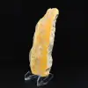 Fetta di diaspro a forma di calabrone - Qualità da collezione - 5