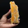 Fetta di diaspro a forma di calabrone - Qualità da collezione - 1