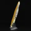 Jasper calabrone indonesiano: un pezzo da esposizione - 3
