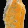Jasper calabrone indonesiano: un pezzo da esposizione - 7