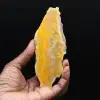 Jasper calabrone indonesiano: un pezzo da esposizione - 1