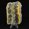 Piccolo esemplare affettato di Jasper Bumblebee - 0