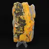 Jasper calabrone indonesiano: grande lastra lucidata - 0
