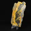 Jasper calabrone indonesiano: grande lastra lucidata - 5