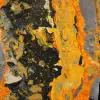 Jasper calabrone indonesiano: grande lastra lucidata - 7