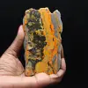Jasper calabrone indonesiano: grande lastra lucidata - 1
