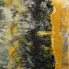 Esemplare compatto e levigato di Bumblebee Jasper - 7