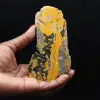 Jasper calabrone indonesiano: lastra di gesso sulfureo - 1