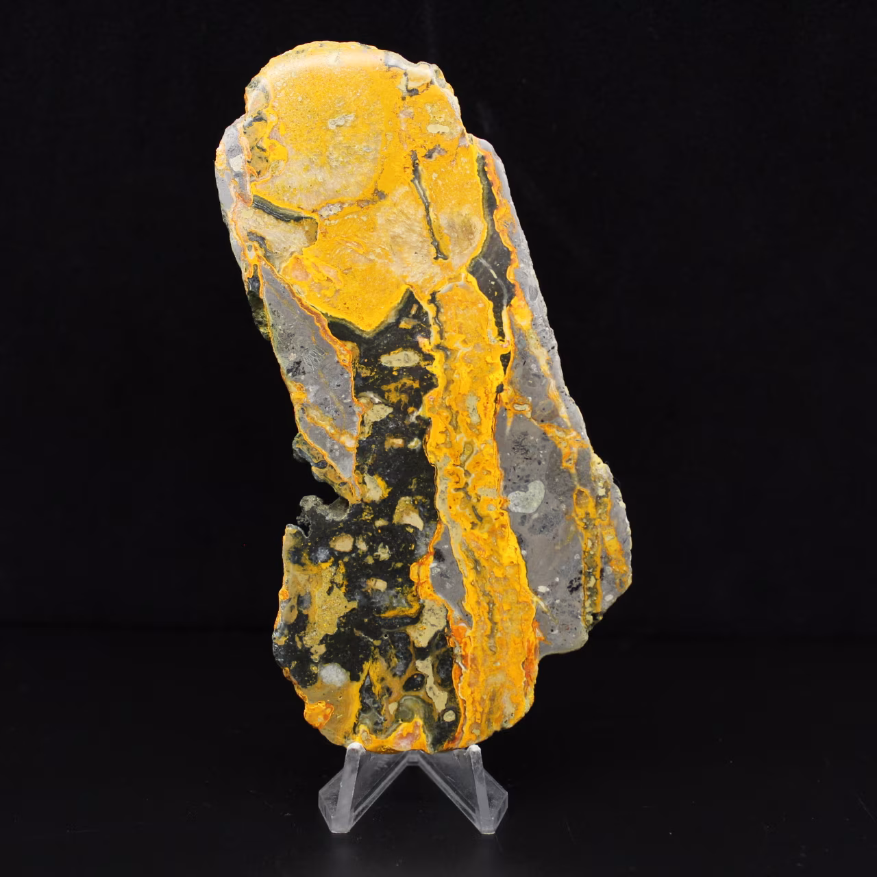 Jasper calabrone indonesiano: lastra di gesso sulfureo