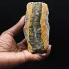Fetta di diaspro ape - Rilievo sedimentario - 1