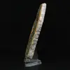 Placca di diaspro calabrone: frammento di Giava - 6