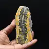 Placca di diaspro calabrone: frammento di Giava - 1