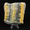 Jasper calabrone indonesiano: grande lastra estetica - 0