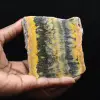 Jasper calabrone indonesiano: grande lastra estetica - 1