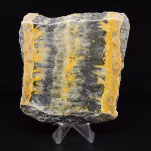 Jasper calabrone indonesiano: grande lastra estetica