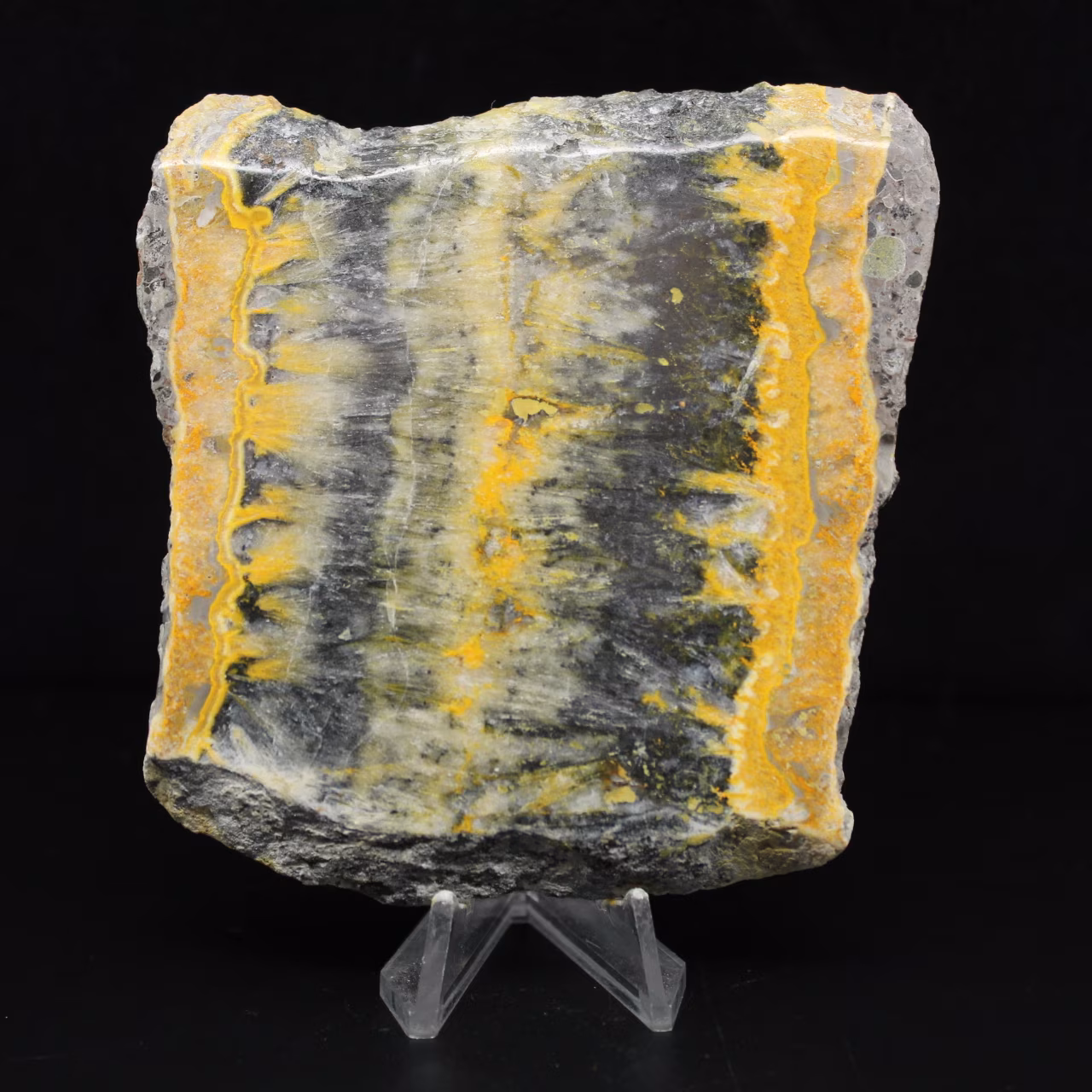 Jasper calabrone indonesiano: grande lastra estetica