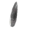 Orthoceras fossile - 2
