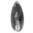 Orthoceras fossile