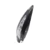 Orthoceras fossile - 2
