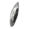 Orthoceras fossile dal Marocco - 2