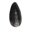 Orthoceras fossile dal Marocco - 0