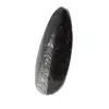 Orthoceras fossile dal Marocco - 2