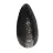 Orthoceras fossile dal Marocco