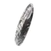 Orthoceras fossile - 2