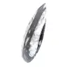 Orthoceras fossile - 2