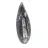 Orthoceras fossile dal Marocco