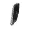 Orthoceras fossile - 2
