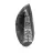 Orthoceras fossile