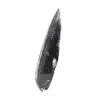 Orthoceras fossile - 2