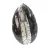 Orthoceras fossile dal Marocco