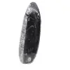 Orthoceras fossile dal Marocco - 2