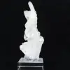 Sbiadimento cristallino - 1