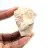Dente fossile di Otodus dal Marocco