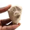Dente fossile di Otodus - 0